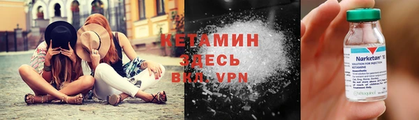 сатива Беслан