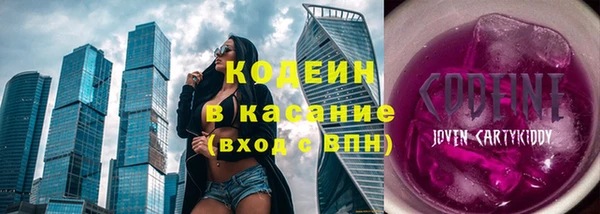 сатива Беслан