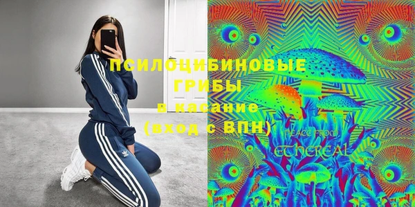 мяу мяу мука Нея