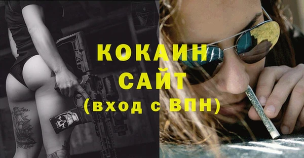 стаф Нефтегорск