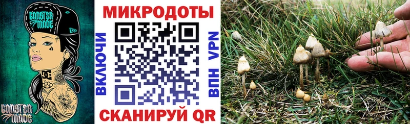Галлюциногенные грибы Cubensis  мориарти Telegram  Микунь 